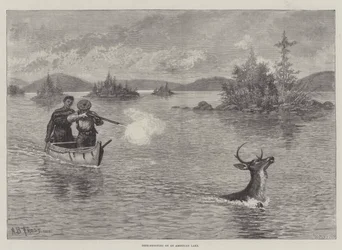 アメリカの湖での鹿の撮影